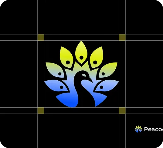 portfolio 3