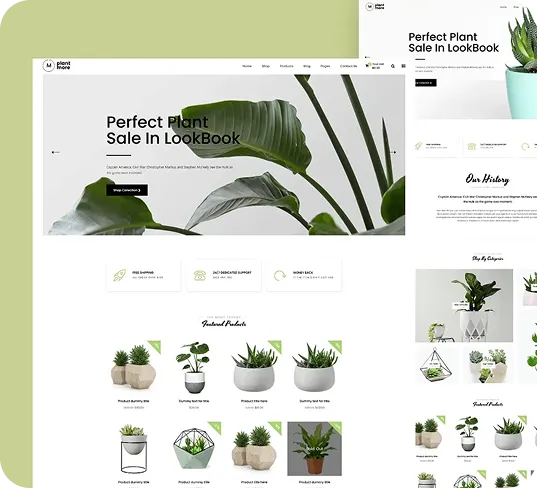 portfolio 3